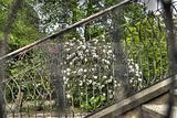 tannenfeld-sommer 2012-055
